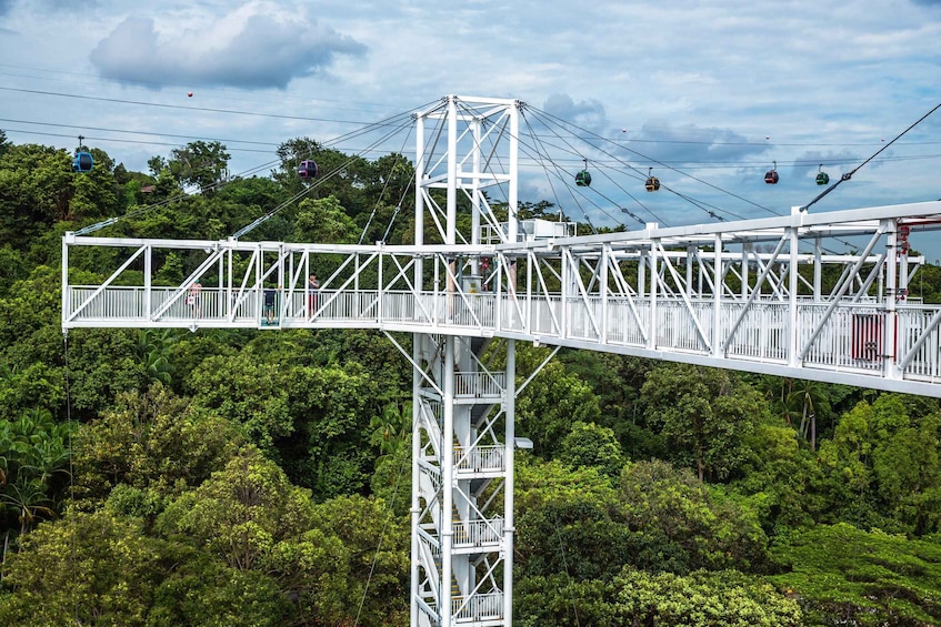 Picture 3 for Activity Singapore: Skypark Sentosa by AJ Hackett