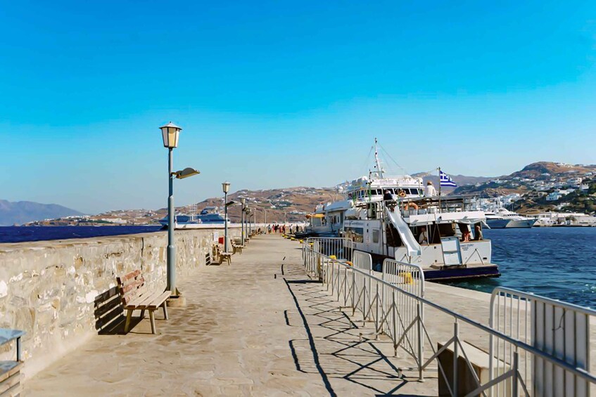 Picture 8 for Activity Mykonos: Delos Boat Transfer with Cell Phone Audioguide