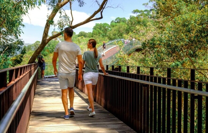 Picture 5 for Activity Perth: Kings Park Botanicals & Beyond Guided Hike