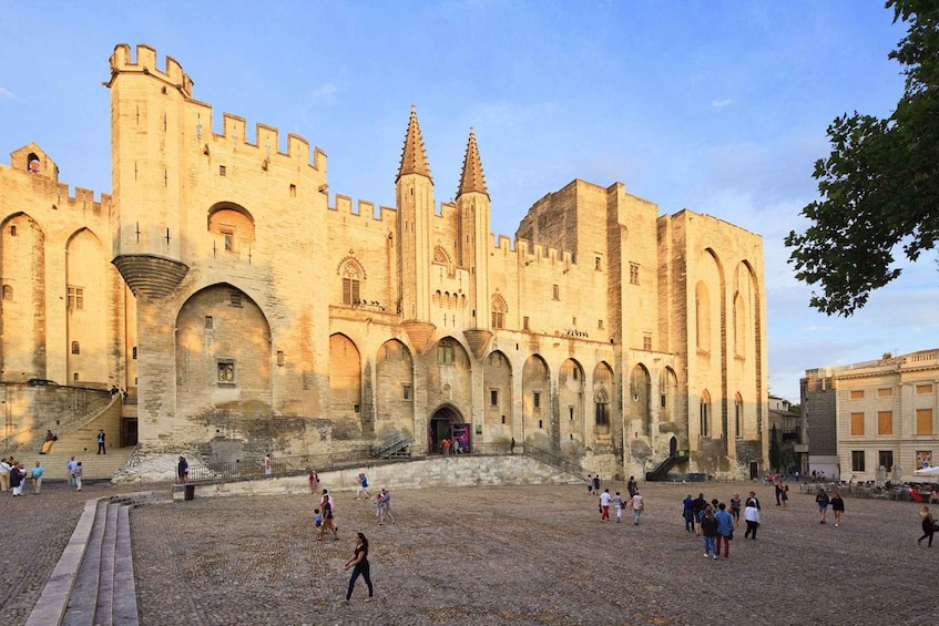 Picture 4 for Activity Aix en Provence and Avignon city of Popes Private Tour