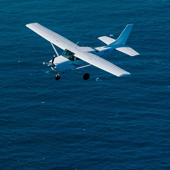 Picture 6 for Activity Perth: Rottnest Island Flight Transfer with Return Ferry