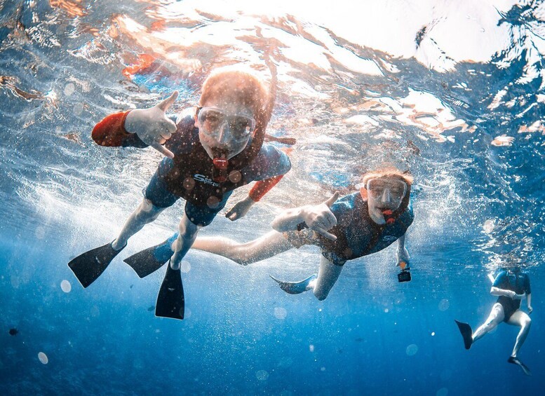 Picture 21 for Activity From Kihei: Molokini Snorkel Adventure 2-Hours