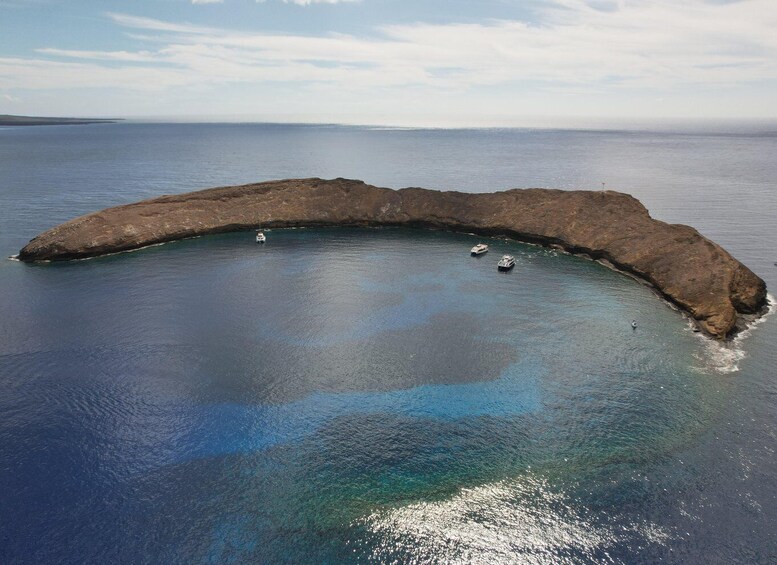 Picture 15 for Activity From Kihei: Molokini Snorkel Adventure 2-Hours