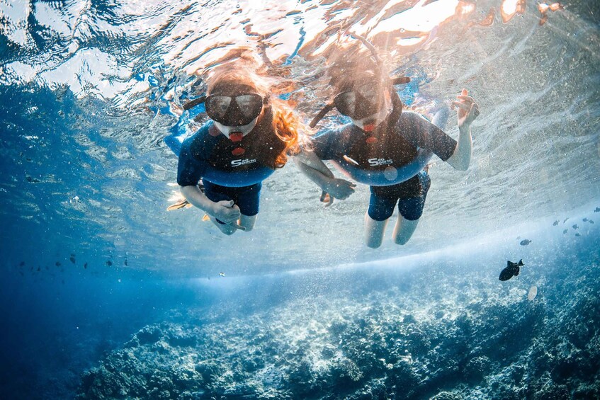 Picture 20 for Activity From Kihei: Molokini Snorkel Adventure 2-Hours