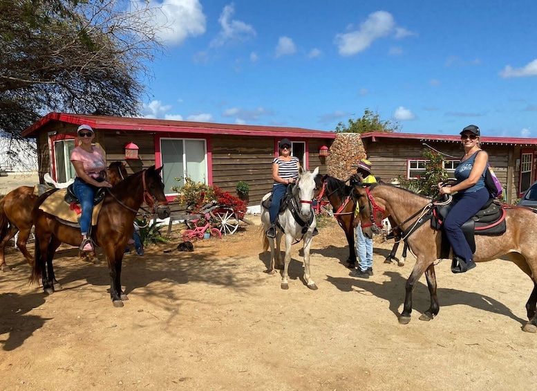 Picture 3 for Activity Aruba: Horseback Ride Tour to Wariruri Beach
