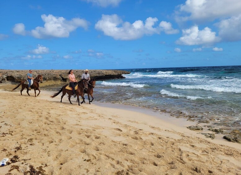 Picture 2 for Activity Aruba: Horseback Ride Tour to Wariruri Beach