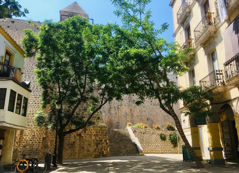 Picture 3 for Activity Ibiza: Old Town Guided Walking Tour
