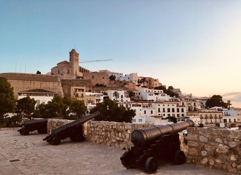 Picture 1 for Activity Ibiza: Old Town Guided Walking Tour