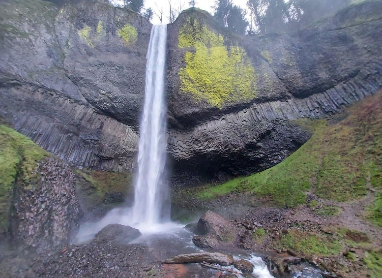 Columbia River Gorge Half-Day Small-Group Hiking Tour