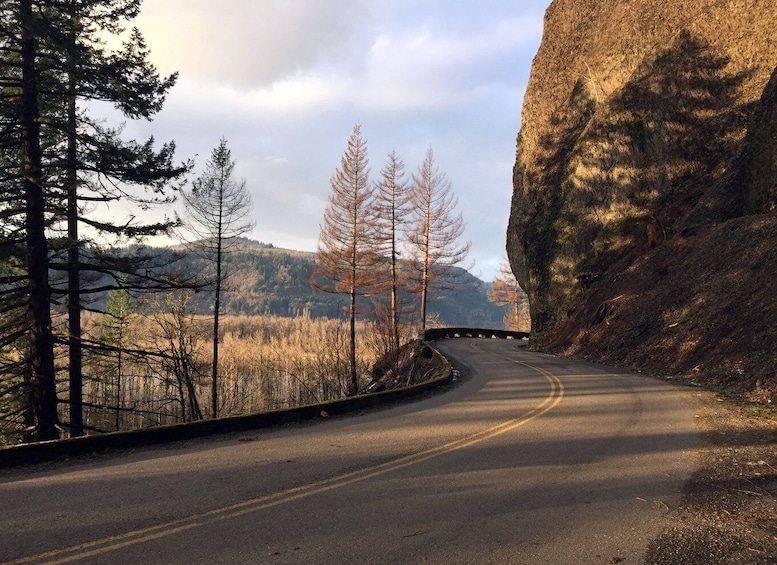 Picture 4 for Activity Columbia River Gorge Half-Day Small-Group Hiking Tour