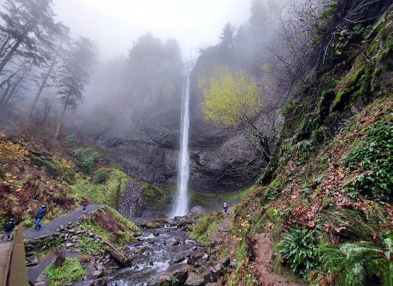 Picture 12 for Activity Columbia River Gorge Half-Day Small-Group Hiking Tour