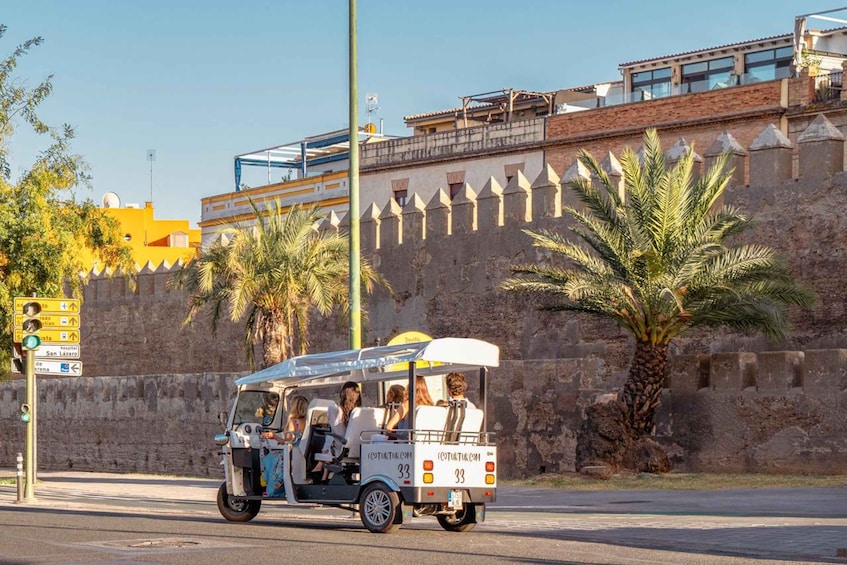 Picture 3 for Activity Seville: Private City Tour by Eco Tuk Tuk