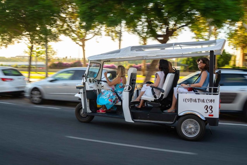 Picture 9 for Activity Seville: Private City Tour by Eco Tuk Tuk