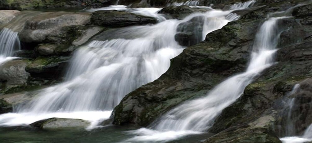 Picture 15 for Activity Leshan Buddha, Tea House&Mt. Emei 2 Days Private tour