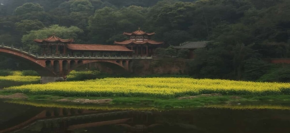 Picture 2 for Activity Leshan Buddha, Tea House&Mt. Emei 2 Days Private tour