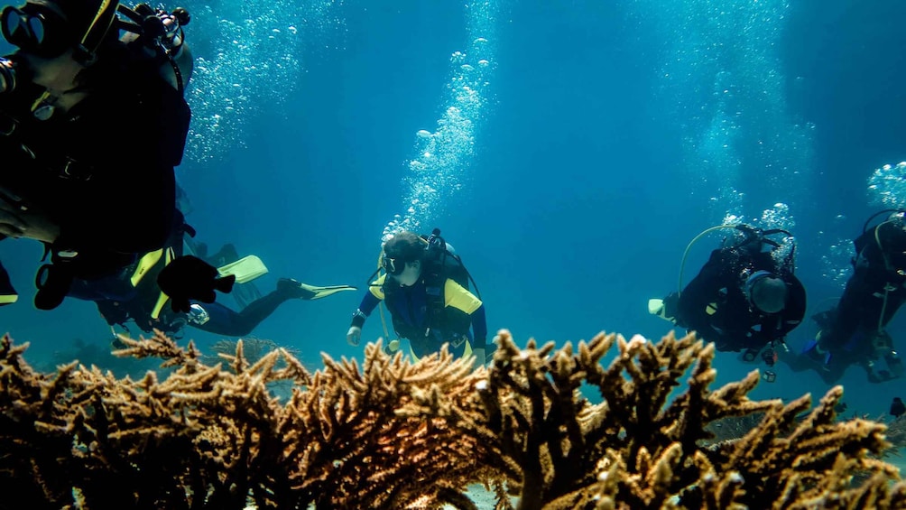 Picture 11 for Activity Hurghada: 1 or multiple Day Diving Package with Soft All In