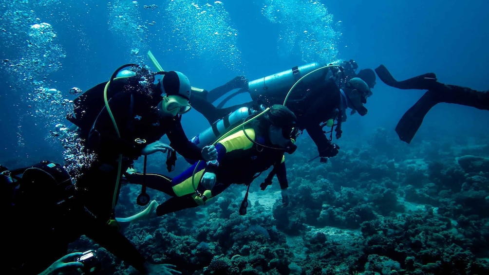 Picture 13 for Activity Hurghada: 1 or multiple Day Diving Package with Soft All In