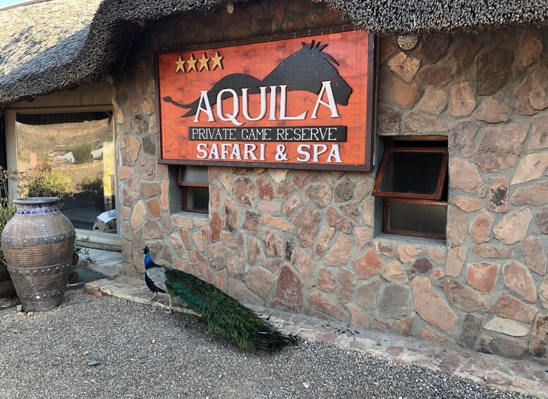 Picture 10 for Activity Aquila Reserve: Private Day Tour with Shared Game Drive