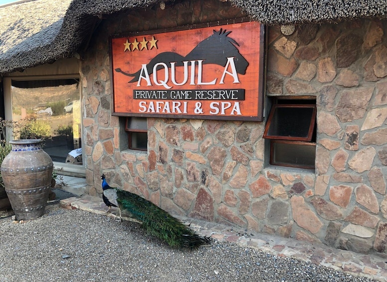 Picture 10 for Activity Aquila Reserve: Private Day Tour with Shared Game Drive