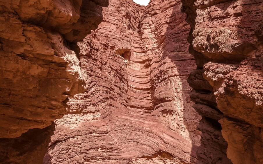 Picture 9 for Activity From Salta: Full-Day Tours of Cafayate and Salinas Grandes