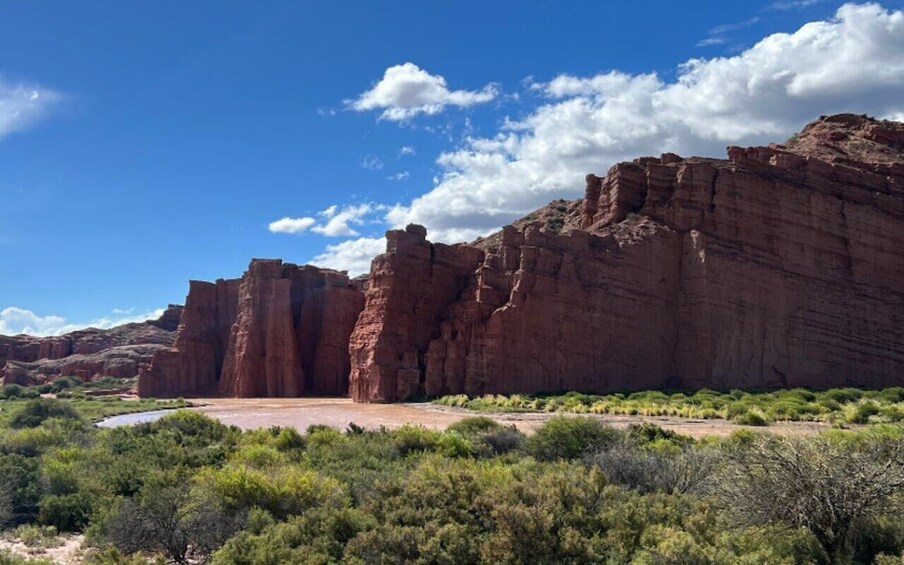 Picture 24 for Activity From Salta: Full-Day Tours of Cafayate and Salinas Grandes