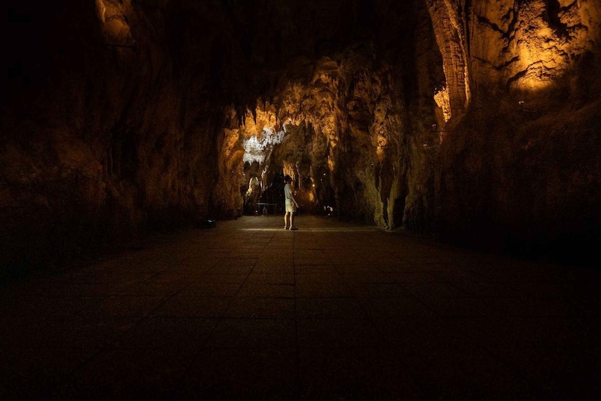 Picture 12 for Activity From Auckland: Waitomo Caves and Rotorua with Te Puia