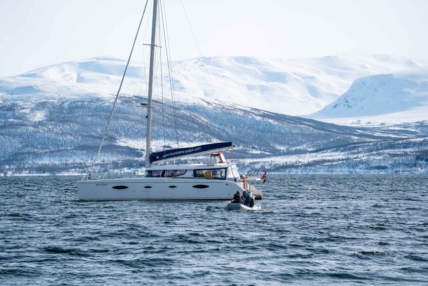 Picture 4 for Activity Tromso: Sightseeing Cruise by Catamaran with Snacks & Drinks