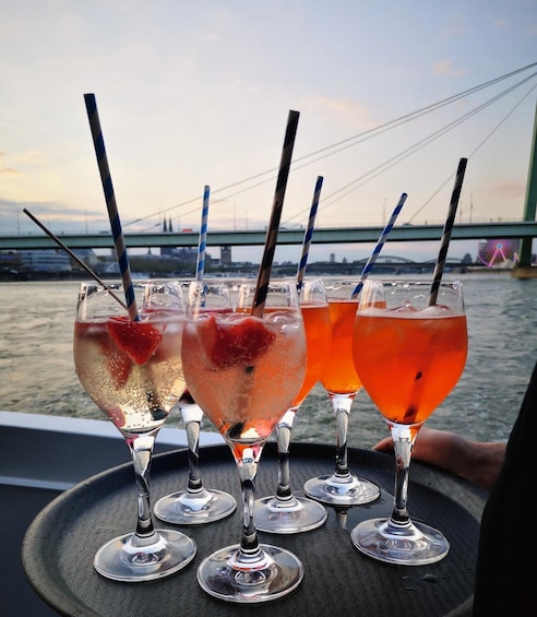 Picture 3 for Activity Cologne: Rhine Cruise Between Cathedral and Rodenkirchen