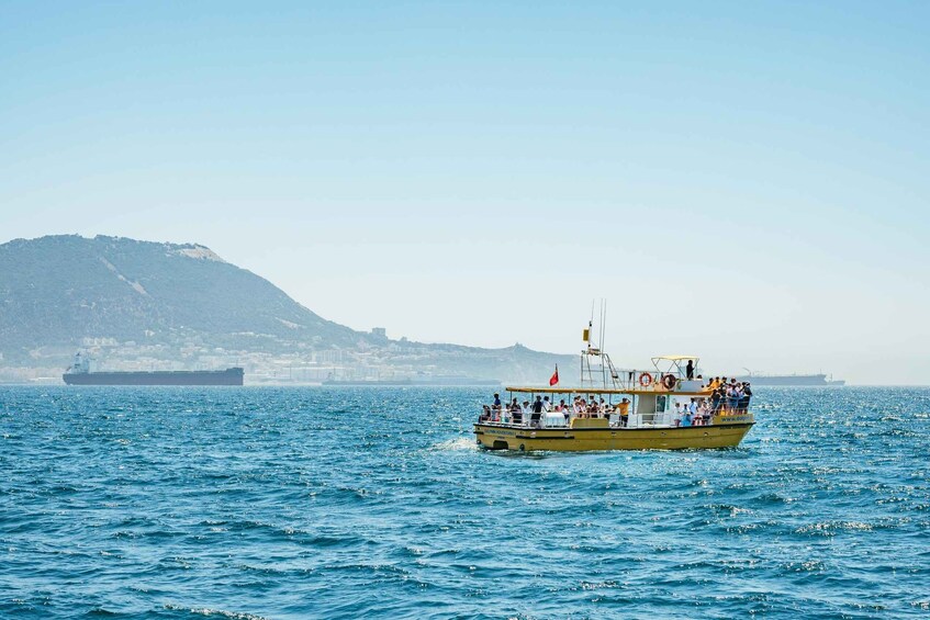 Picture 10 for Activity From Malaga: Day trip to Gibraltar and Dolphin Boat Tour