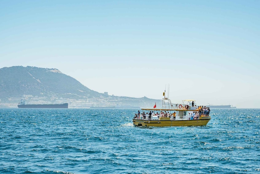 Picture 10 for Activity From Malaga: Day trip to Gibraltar and Dolphin Boat Tour