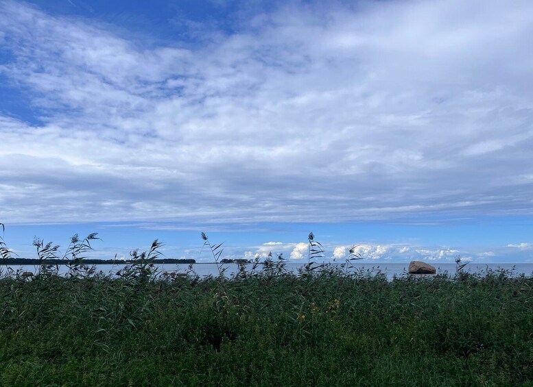 Picture 3 for Activity From Tallinn: Lahemaa National Park Day Trip