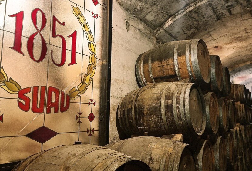 Picture 16 for Activity Palma: Distillery Tour with 3 Spirits and Tapas Tasting