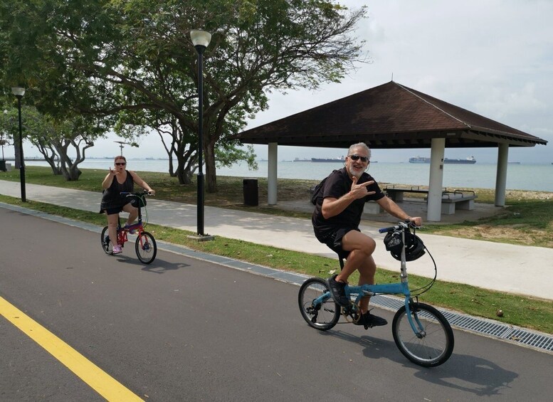 Picture 4 for Activity Singapore: Katong District Food and Bike Tour