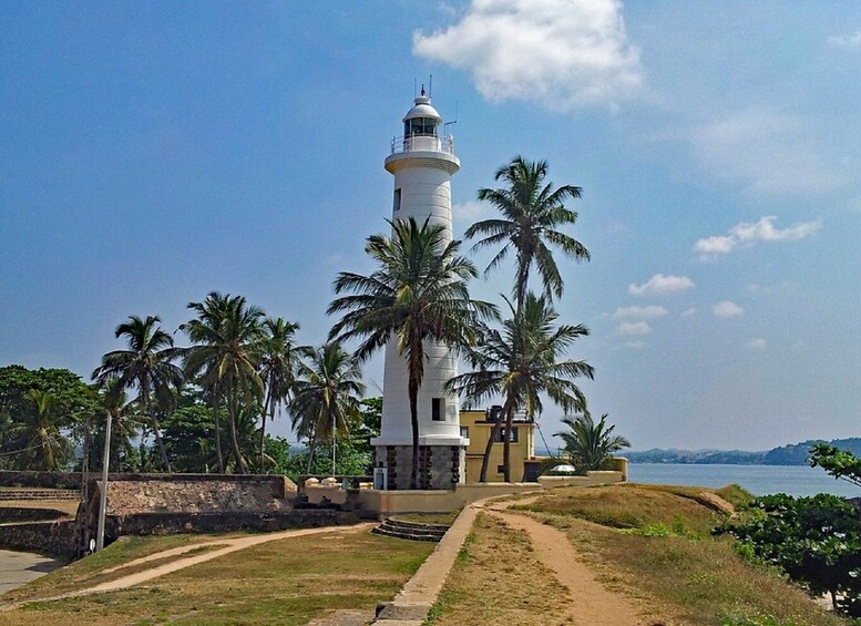 Picture 12 for Activity From Colombo: Galle Guided Tour with Herbal Massage