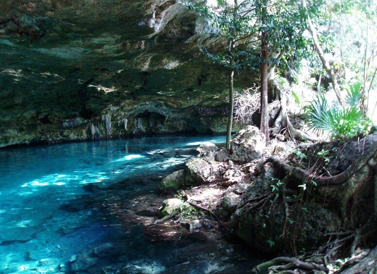 Picture 7 for Activity Tulum: Horseback Riding in the Jungle w/ Transfers and Lunch