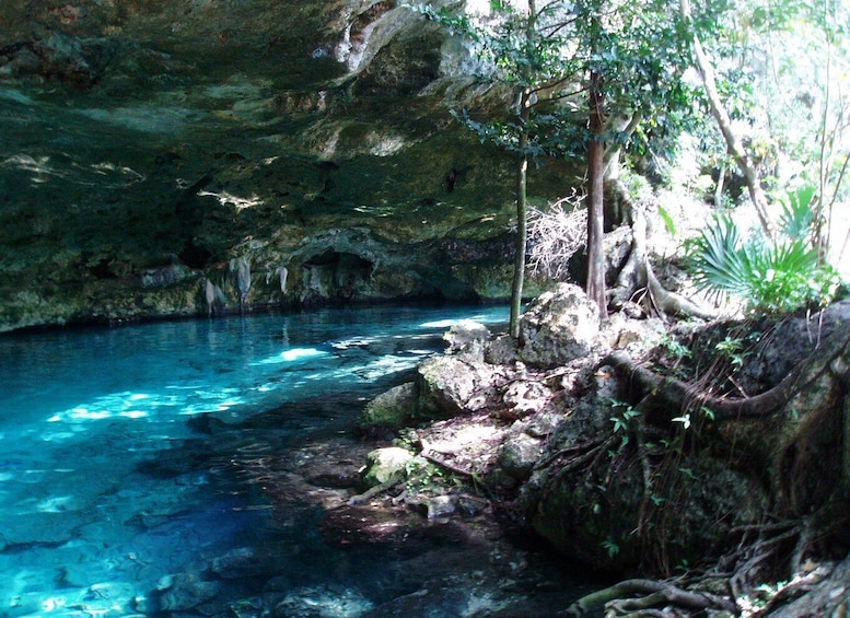 Picture 7 for Activity Tulum: Horseback Riding in the Jungle w/ Transfers and Lunch
