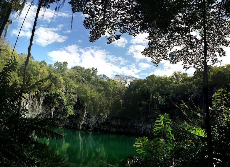 Picture 4 for Activity Santo Domingo: Natural Treasures of the City
