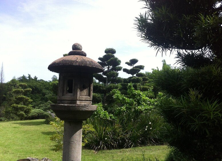 Picture 5 for Activity Santo Domingo: Natural Treasures of the City