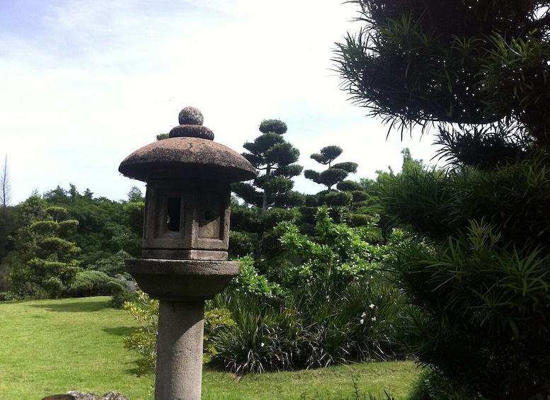 Picture 5 for Activity Santo Domingo: Natural Treasures of the City