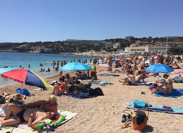 Cassis wine tour: sea, cliffs and vineyards