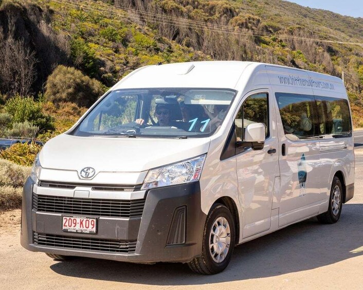 Picture 17 for Activity From Melbourne: Great Ocean Road Minibus Tour in Reverse