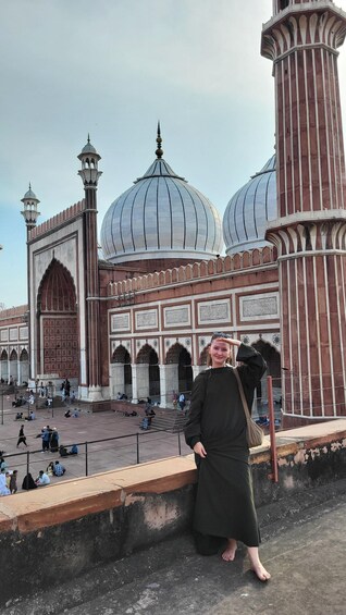 Picture 7 for Activity Old Delhi: Spices, Heritage and Bazaars Walking Tour