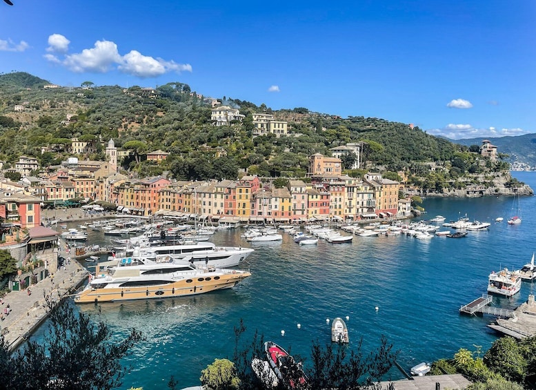 Picture 7 for Activity Genoa: Full-Day Tour to Camogli