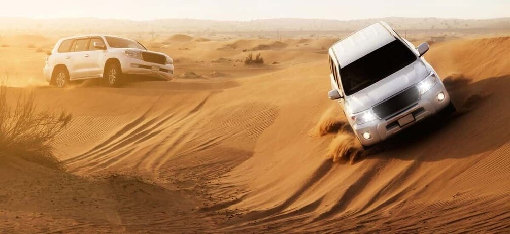 Picture 8 for Activity Doha: Private Full-day Safari with BBQ Dinner in Desert Camp