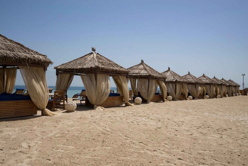 Picture 15 for Activity Doha: Private Full-day Safari with BBQ Dinner in Desert Camp