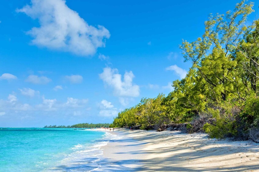 Picture 5 for Activity Speed boat to Ile aux Cerfs: Full day incl Lunch & Transfer