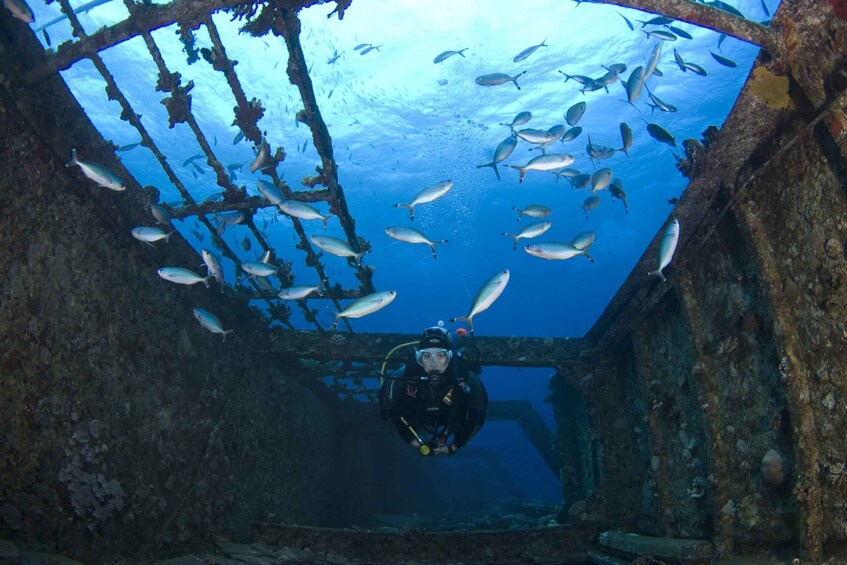 Picture 3 for Activity Scuba Diving in Hikkaduwa