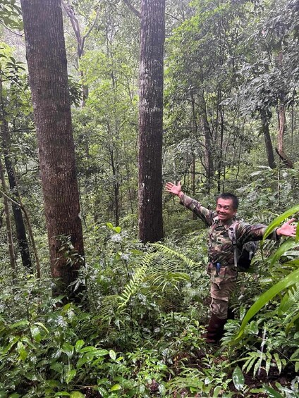 Picture 1 for Activity From Chiang Mai: Doi Saket Hiking Tour with Lunch