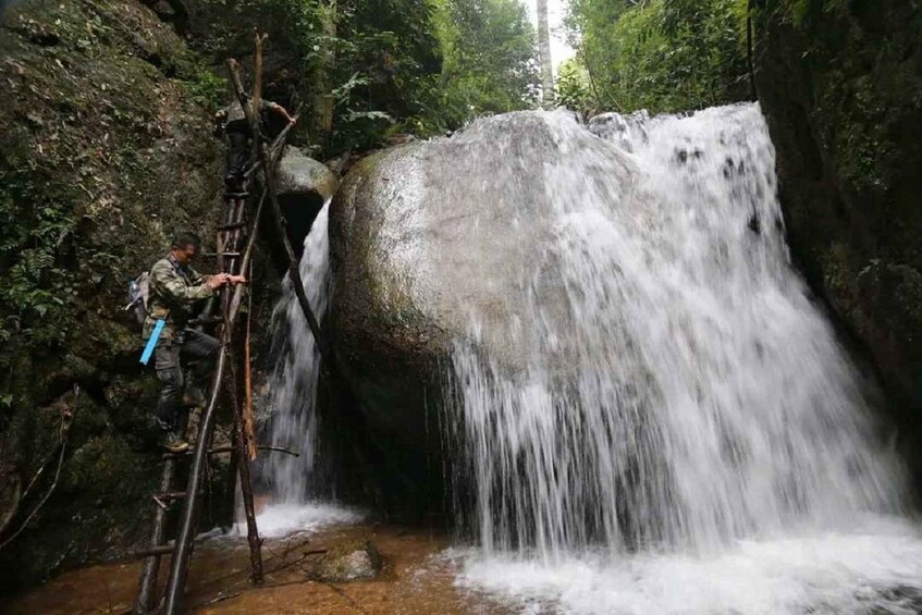 Picture 2 for Activity From Chiang Mai: Doi Saket Hiking Tour with Lunch
