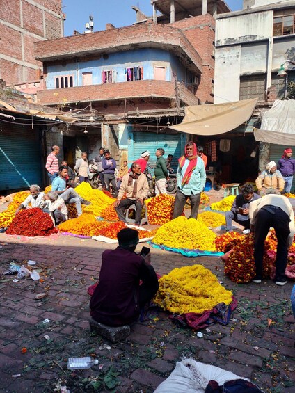 Picture 23 for Activity Guide francophone à varanasi - Rakesh